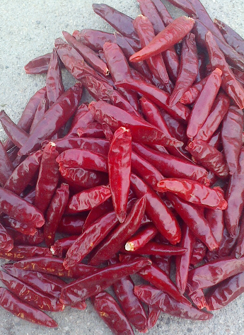 �t̫ꖸ���������������6�f����SHU��