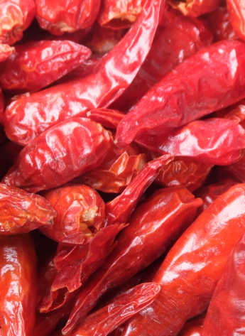 С�׽�����������12�f(w��n)SHU)