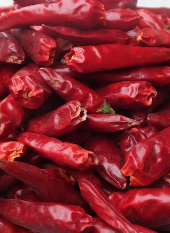 ��һ���t������������5�f-6�fSHU��