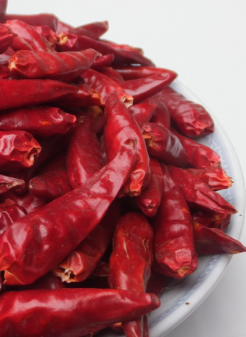 ��һ���t������������5�f-6�fSHU��