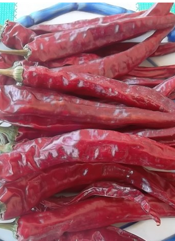 �涼�t��΢������1�f����SHU��