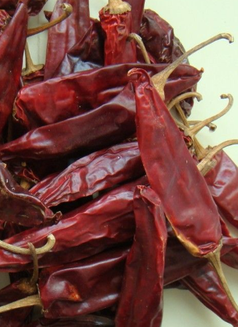 �涼�t��΢���ͣ�1�f����SHU��