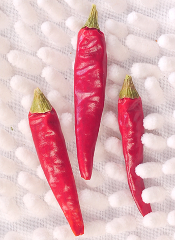 �M���ǣ���������10�f����SHU��