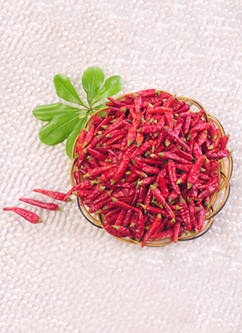 �M���ǣ������ͣ�10�f����SHU��