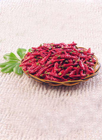 �M���ǣ���������10�f����SHU��