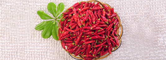 �M���ǣ������ͣ�10�f����SHU��