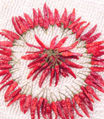 С�׽�����������12�f(w��n)SHU)