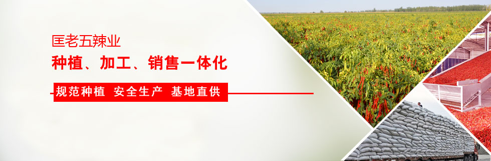 ���������I(y��)�c¡ƽ�߿������зN�I(y��)����