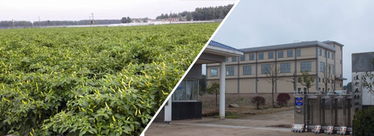 ���������������ͣ�12�fSHU)