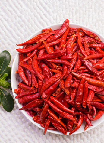 �t̫ꖸ���������������6�f����SHU��