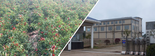 �������������7�f(w��n)����SHU��