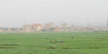 �������R�X�{��ժ