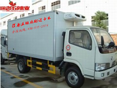 ���������������ȫ��