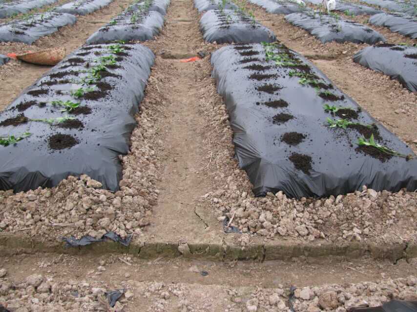 ���������I(y��)Ҏ(gu��)�����Nֲ����