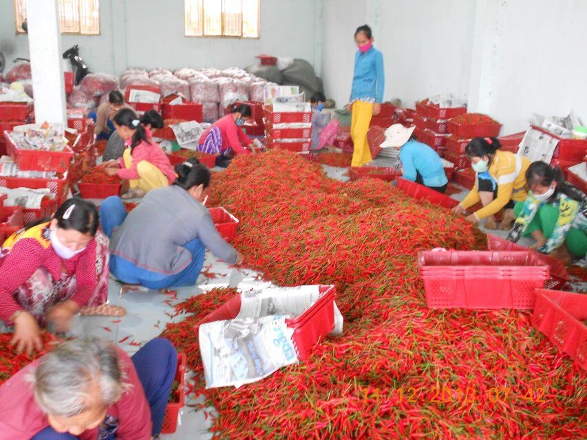 ���������I(y��)�rС�������x