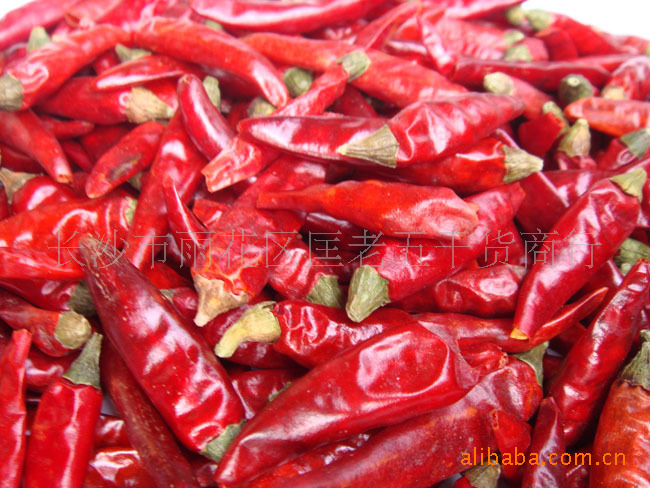 ������M��������