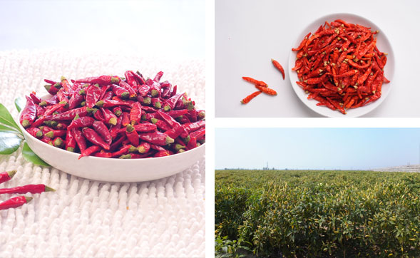 ���������l(f��)�Ј�(ch��ng)