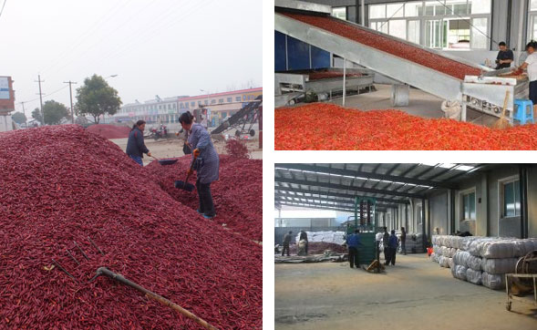 ���������l(f��)