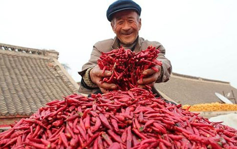 Ұɽ�����l(f��)