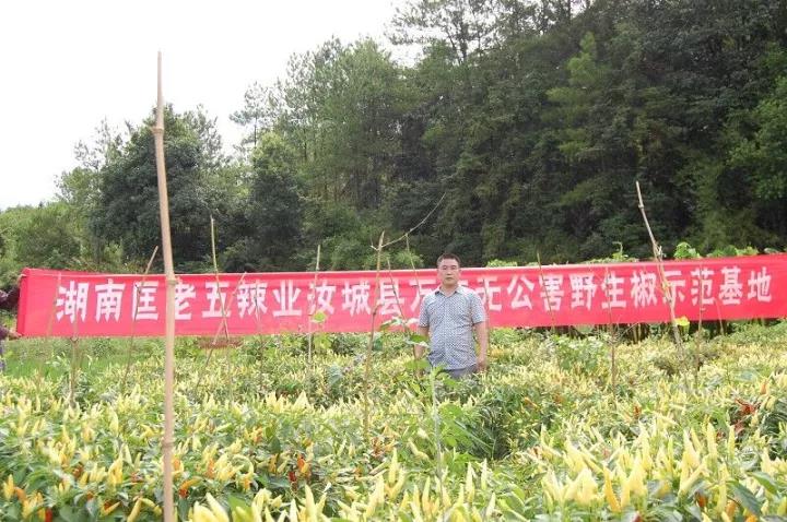 ��(y��u)�|(zh��)������