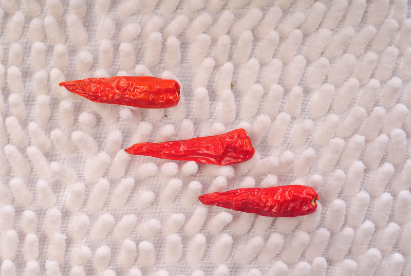 �ġ��{(di��o)ζ���������ơ��������a(ch��n)�I(y��)�����M(f��i)����(j��)֮·